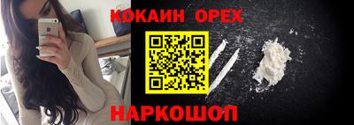 прущие грибы Абакан