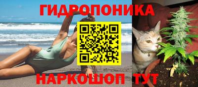 прущие грибы Абакан