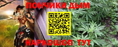 прущие грибы Абакан
