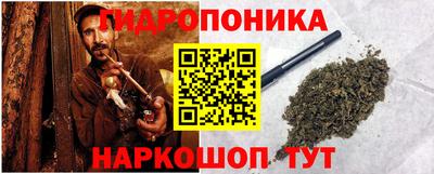 прущие грибы Абакан