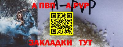 прущие грибы Абакан